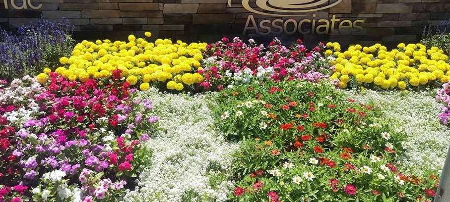 ICOS GARDENING & LANDSCAPE logo